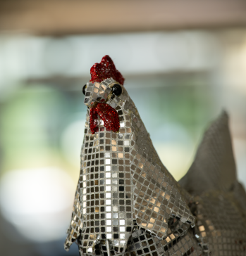 Disco Chicken