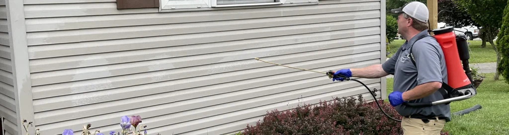 Bug Man on a house call